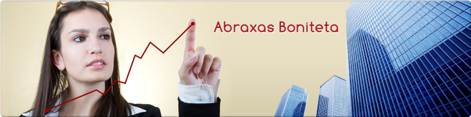 Abraxas Boniteta in Rešitve za Basel II