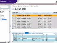 Abraxas Data Management System (DMS) gives you complete management over dataware repository.