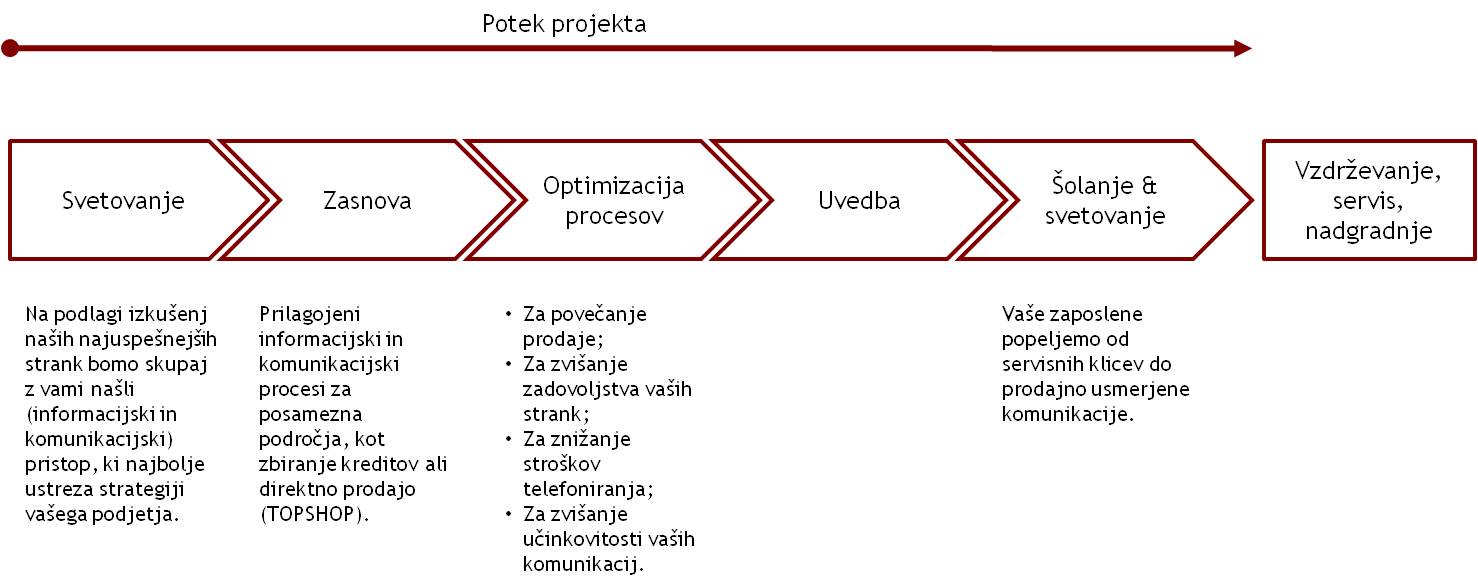 Potek projekta Potek projekta